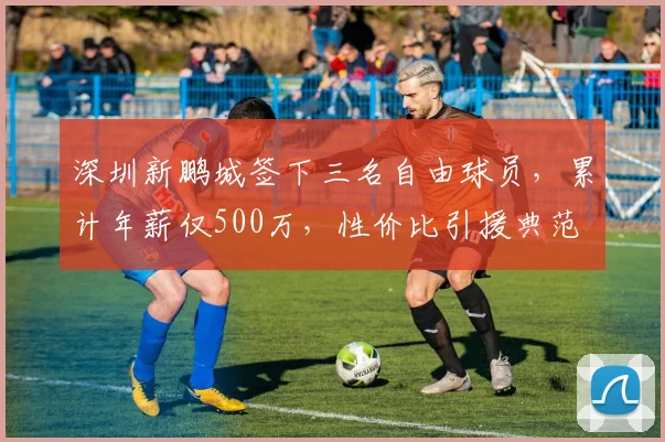 深圳新鹏城签下三名自由球员，累计年薪仅500万，性价比引援典范